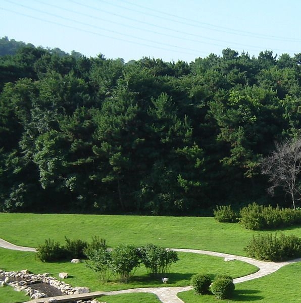 粉象生活和好券