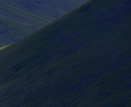 QQ群买粉让发二维码收款