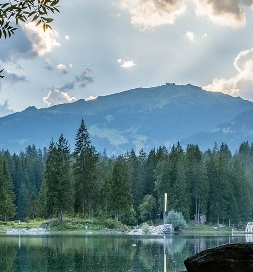 河南为什么是象