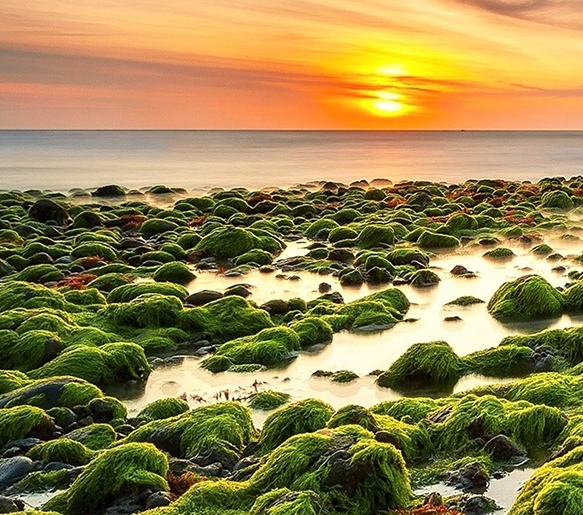 粉象生活应聘者分析