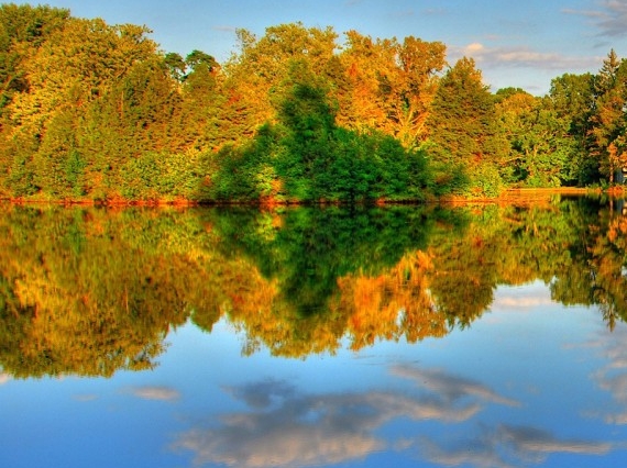 粉象生活邀请码