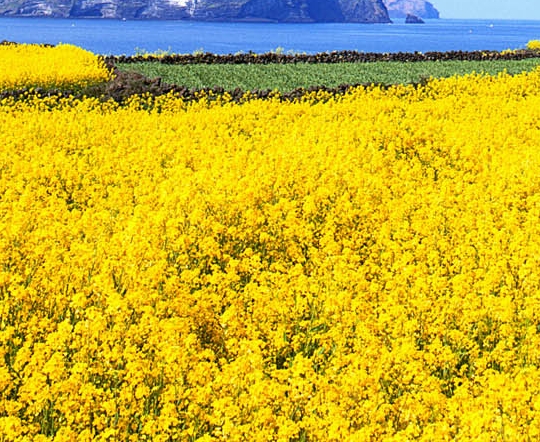 粉象生活骗局?揭密很多人被骗!说说他们的亲身经历!