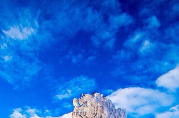 粉象生活粉丝怎么增加