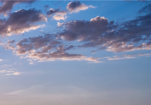 汕头粉象生活代理