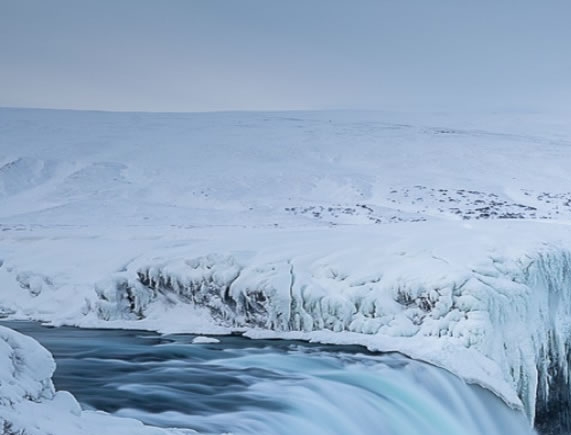 粉象生活是什么?