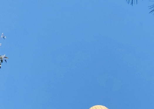 粉象生活粉丝怎么增加