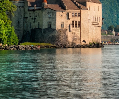 粉象生活粉丝vip