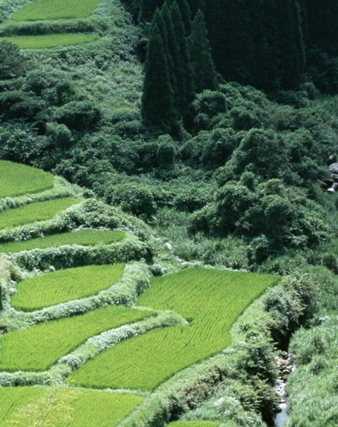 苹果手机怎样下载手机铃声