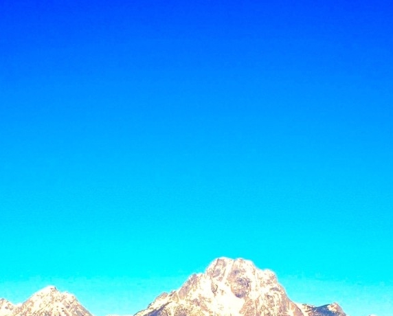 粉象生活app