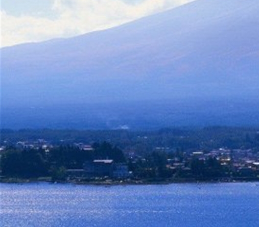 粉象生活绑定账号