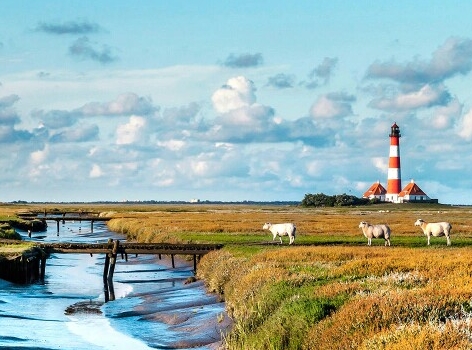 惠州粉象生活使用教程