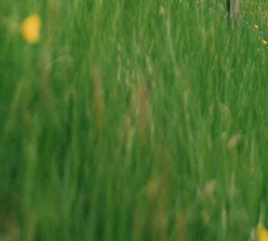 粉象生活第一个是怎么注册的