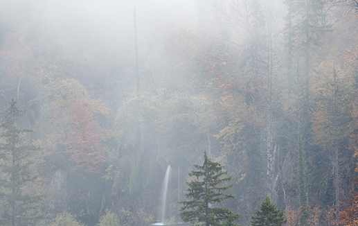 粉象生活是什么?