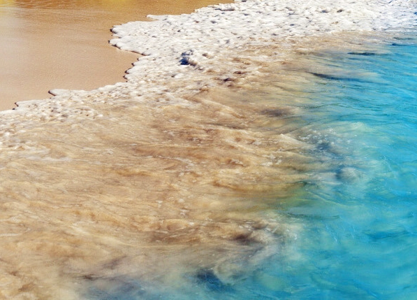 粉象生活代理级别