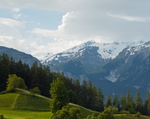 粉象生活界面图