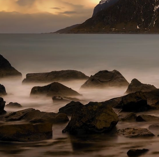 粉象生活下载app