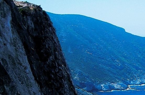 关于做公益的文案