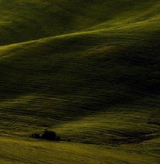 粉象生活邀请码752583