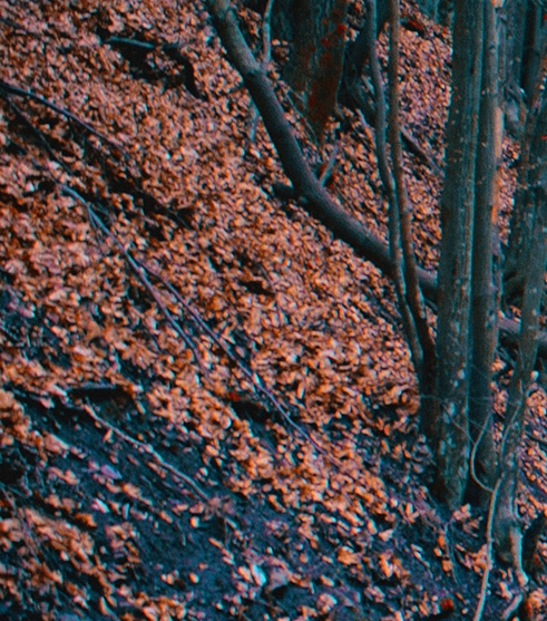 五象一站式生活购物中心