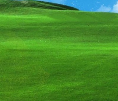 粉象生活的利弊