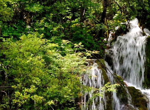 粉象生活李红星简历