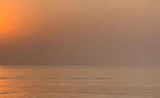 粉象生活何时成立