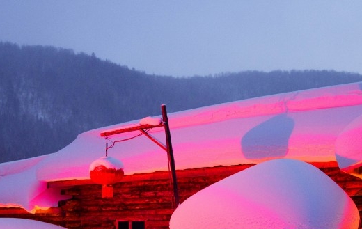 粉象生活怎么赚钱的