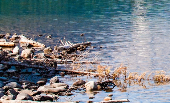 茂名粉象生活赚钱
