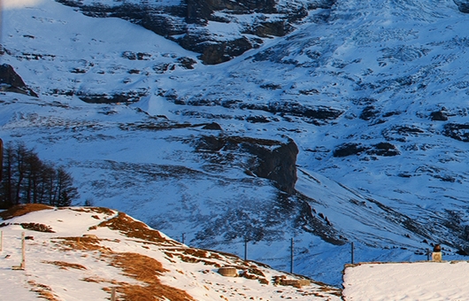 粉象生活怎么赚钱的