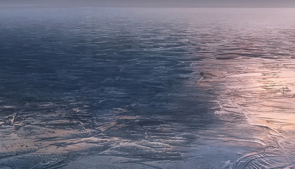 粉象生活骗局?揭密很多人被骗!说说他们的亲身经历!