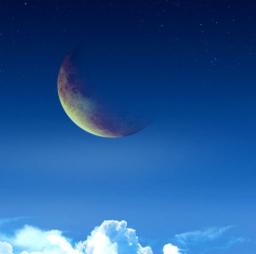 粉象生活合法吗