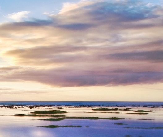 粉象生活的利弊