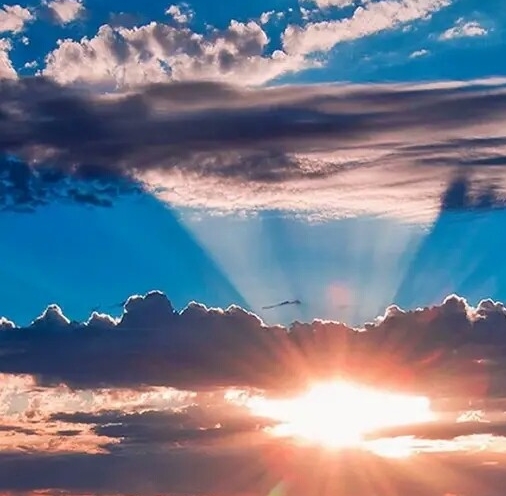 惠州粉象生活代理