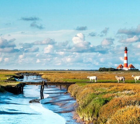 粉象生活点击淘宝