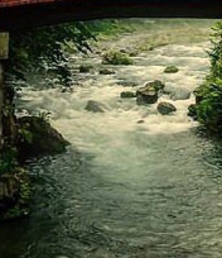 粉象生活哪个平台好用