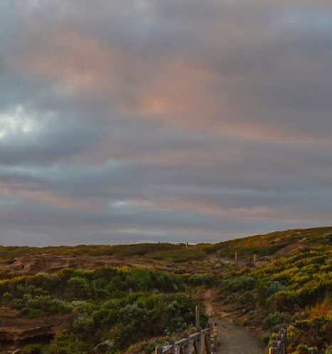 田昊粉象生活创始人微信