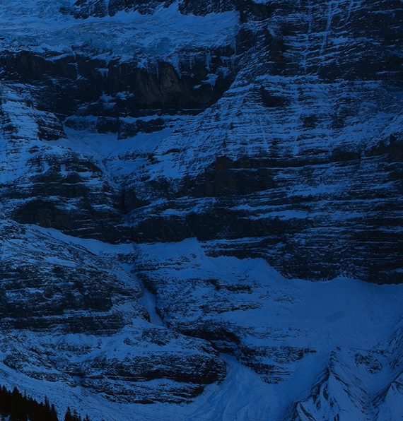 粉象生活要交钱吗