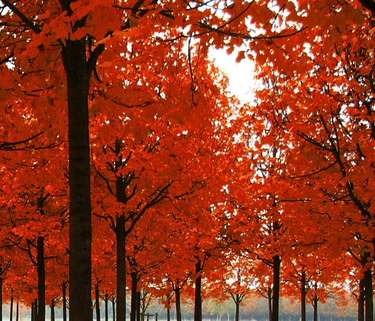 粉象生活vip会员拉不到人能赚佣金吗