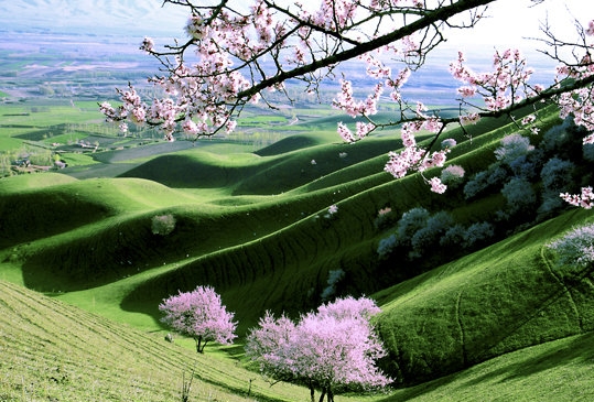 粉象生活如何开通收益