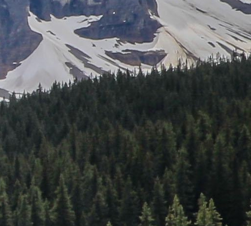 粉象生活副业app