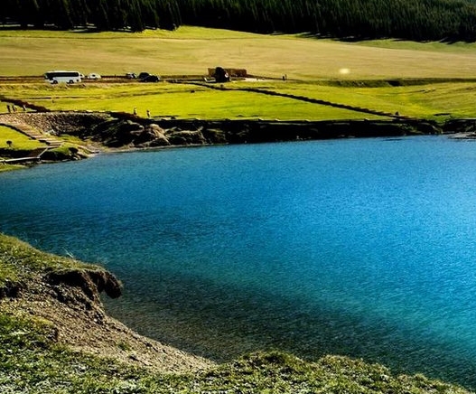 粉象生活竞争状况