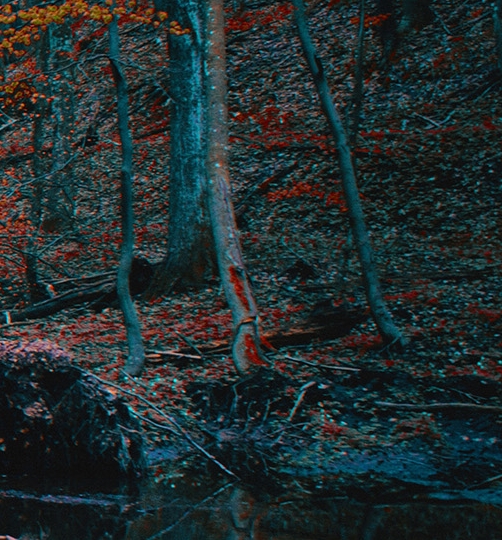 粉象生活怎么赚钱