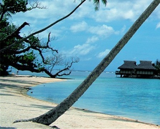 粉象生活邀请码