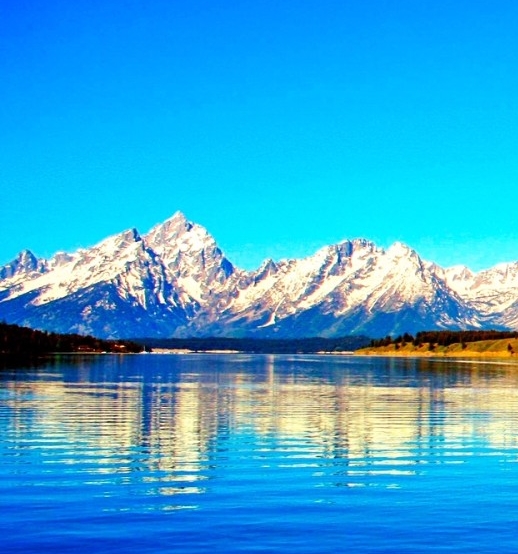 粉象生活分销产品怎么赚钱