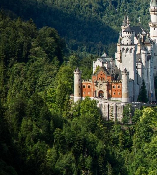 粉象生活用哪个软件开店