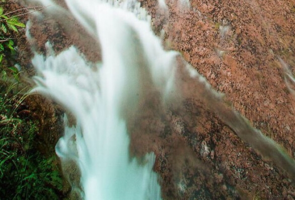 粉象生活是什么APP