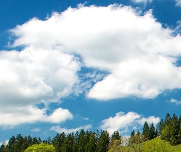 粉象生活如何赚佣金