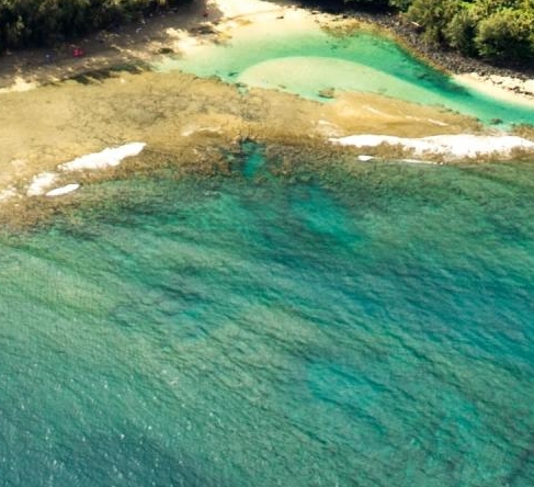 粉象生活邀请码