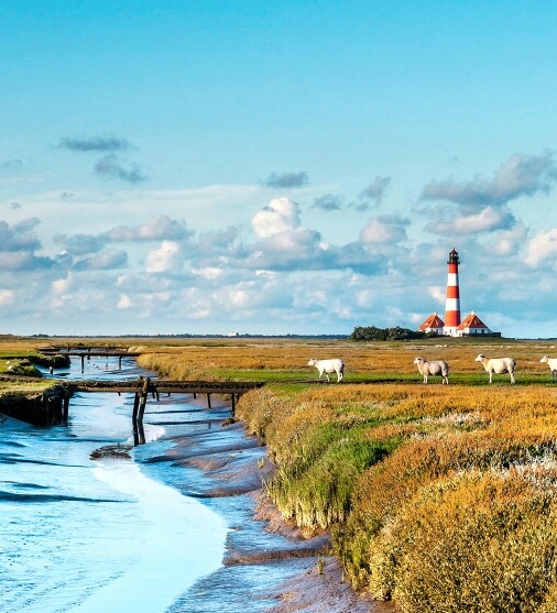 江西粉象生活代理