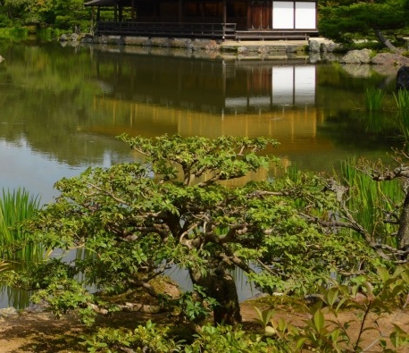 粉象生活分享后怎么没有佣金